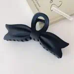 Pince Cheveux Noir 4