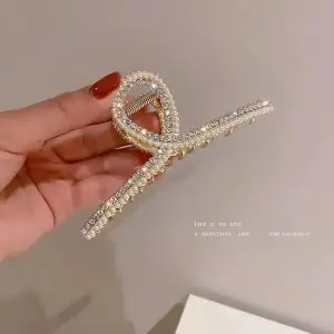 Pince Cheveux Strass 1